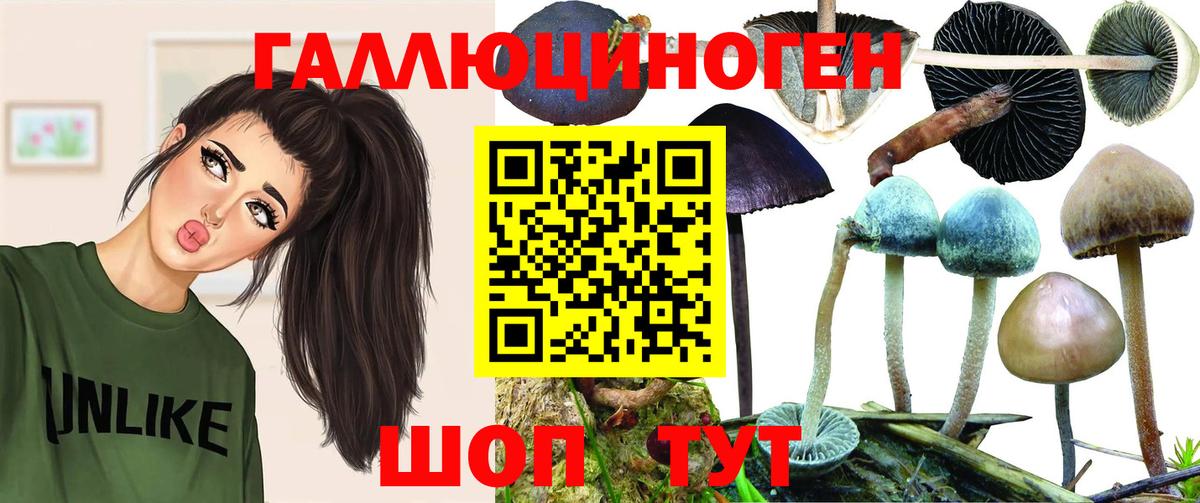 Галлюциногенные грибы Cubensis Сургут