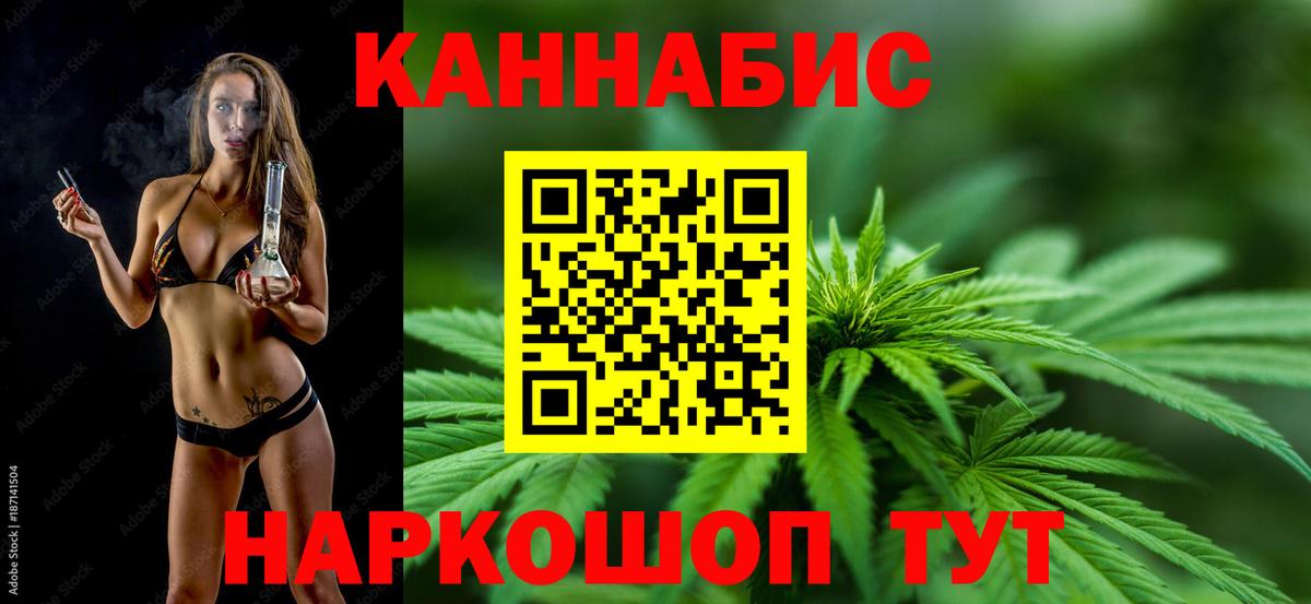 Каннабис White Widow  Каннабис план  Сургут  Вход с VPN  Марихуана SATIVA & INDICA 